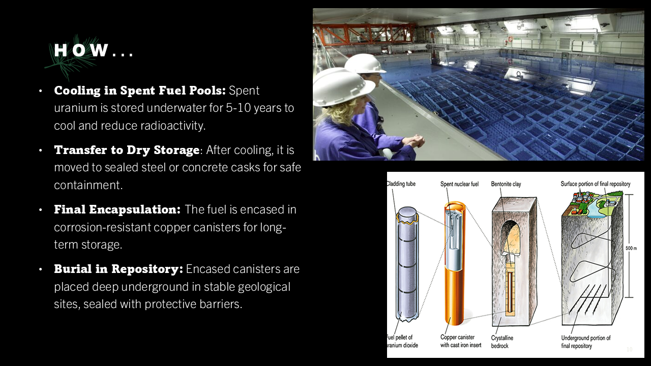 Slide 5